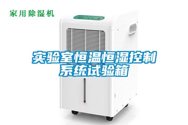 實(shí)驗室恒溫恒濕控制系統試驗箱