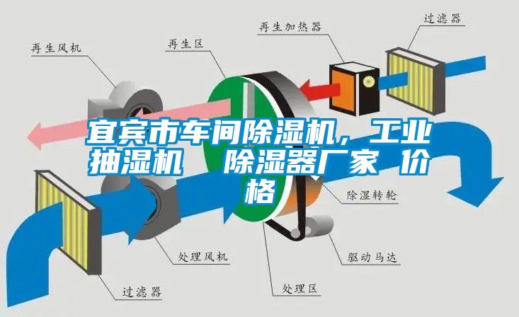 宜賓市車(chē)間除濕機，工業(yè)抽濕機  除濕器廠(chǎng)家 價(jià)格