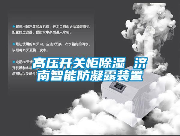 高壓開(kāi)關(guān)柜除濕 濟南智能防凝露裝置