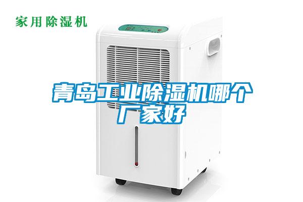 青島工業(yè)除濕機哪個(gè)廠(chǎng)家好