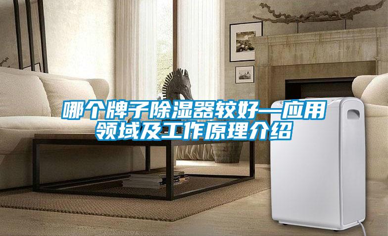 哪個(gè)牌子除濕器較好—應用領(lǐng)域及工作原理介紹