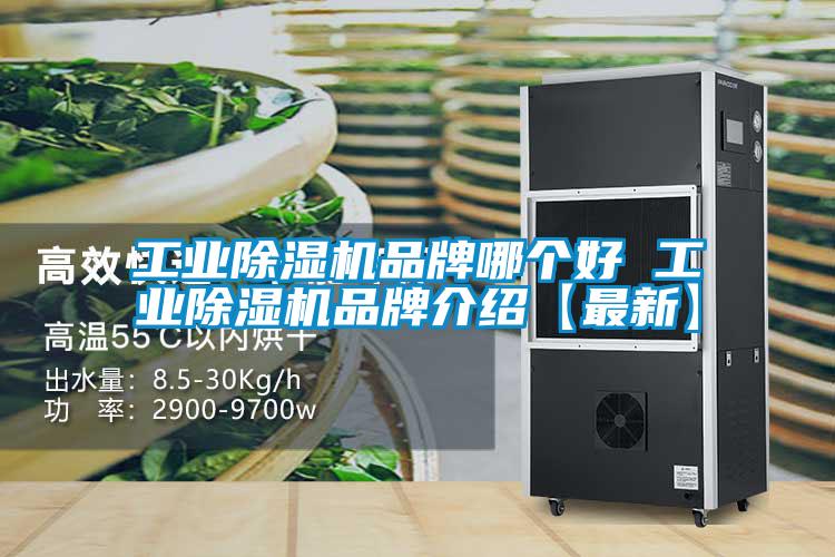 工業(yè)除濕機品牌哪個(gè)好 工業(yè)除濕機品牌介紹【最新】