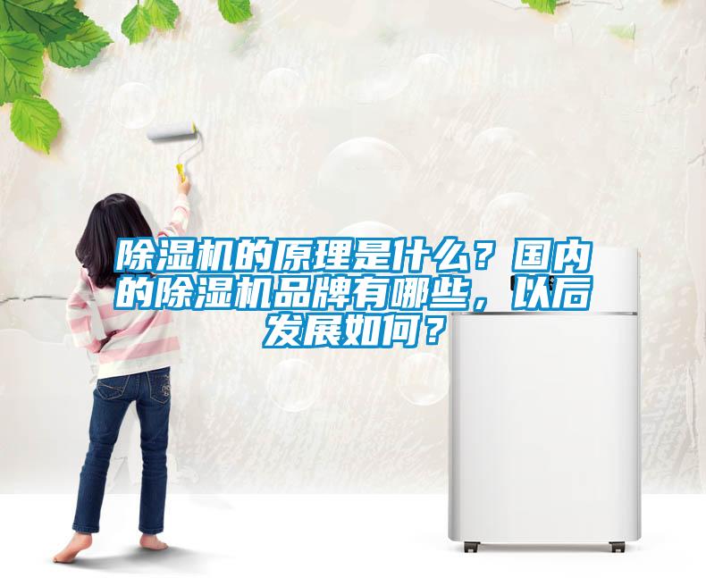 除濕機的原理是什么？國內的除濕機品牌有哪些，以后發(fā)展如何？