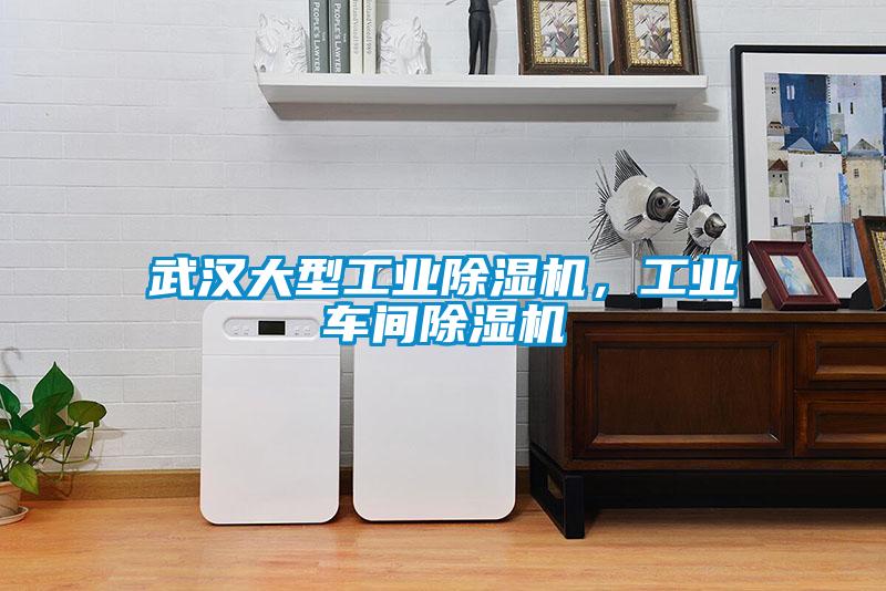 武漢大型工業(yè)除濕機，工業(yè)車(chē)間除濕機