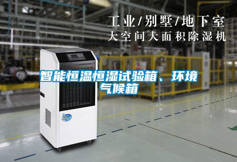 智能恒溫恒濕試驗箱、環(huán)境氣候箱