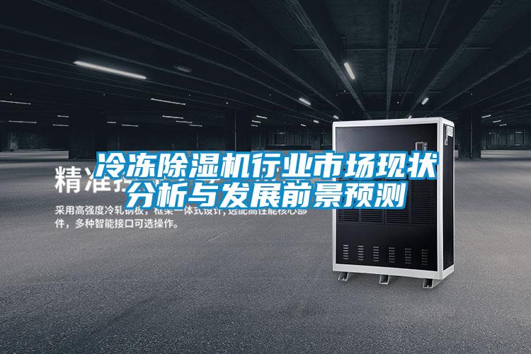 冷凍除濕機行業(yè)市場(chǎng)現狀分析與發(fā)展前景預測