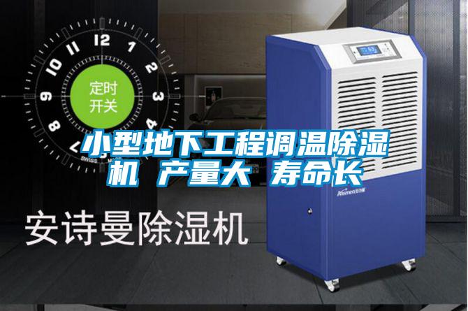 小型地下工程調溫除濕機 產(chǎn)量大 壽命長(cháng)