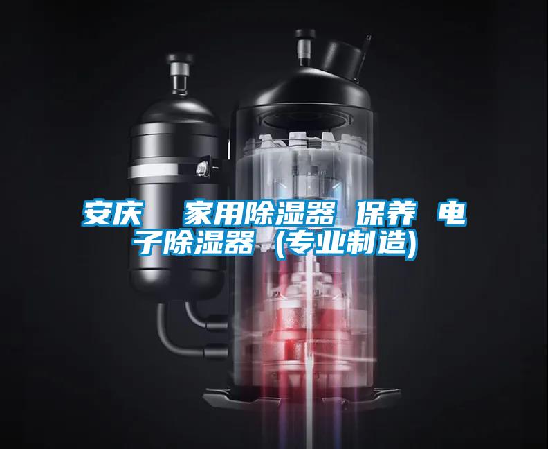 安慶  家用除濕器 保養 電子除濕器 (專(zhuān)業(yè)制造)