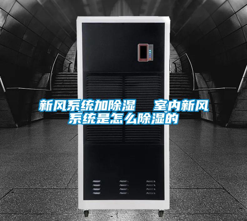 新風(fēng)系統加除濕  室內新風(fēng)系統是怎么除濕的