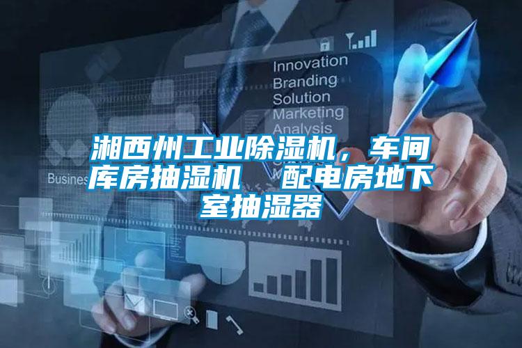 湘西州工業(yè)除濕機，車(chē)間庫房抽濕機  配電房地下室抽濕器