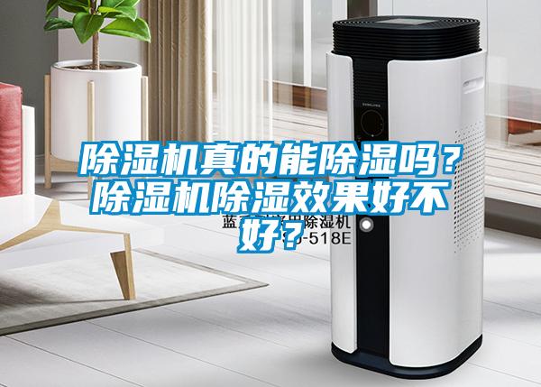 除濕機真的能除濕嗎？除濕機除濕效果好不好？