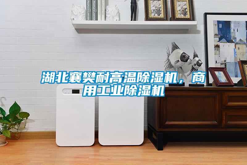 湖北襄樊耐高溫除濕機，商用工業(yè)除濕機