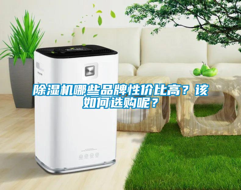 除濕機哪些品牌性?xún)r(jià)比高？該如何選購呢？