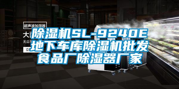 除濕機SL-9240E地下車(chē)庫除濕機批發(fā)食品廠(chǎng)除濕器廠(chǎng)家