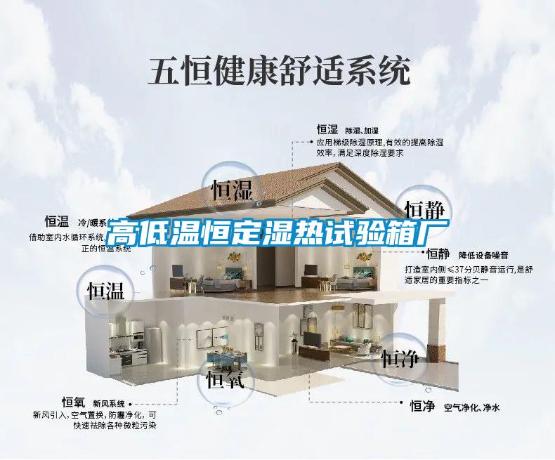 高低溫恒定濕熱試驗箱廠(chǎng)