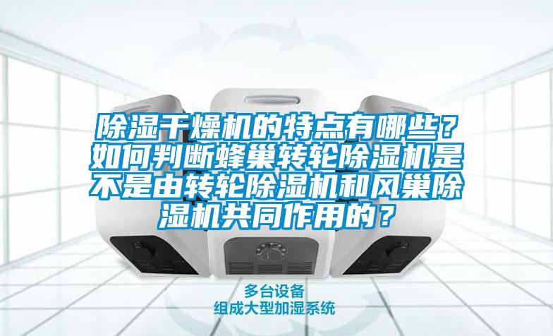 除濕干燥機的特點(diǎn)有哪些？如何判斷蜂巢轉輪除濕機是不是由轉輪除濕機和風(fēng)巢除濕機共同作用的？
