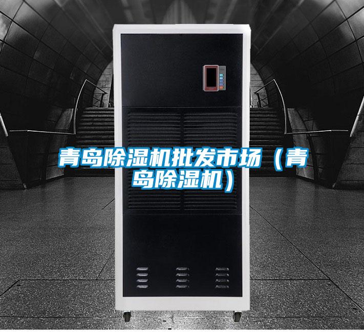 青島除濕機批發(fā)市場(chǎng)（青島除濕機）