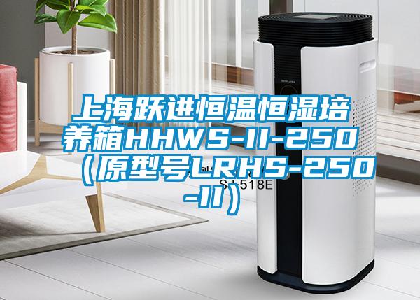 上海躍進(jìn)恒溫恒濕培養箱HHWS-II-250（原型號LRHS-250-II）