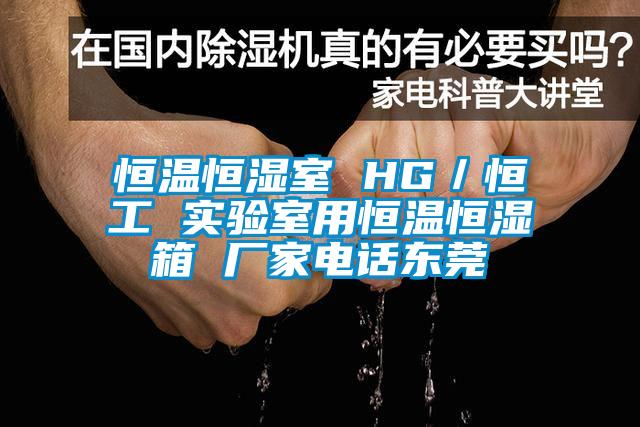 恒溫恒濕室 HG／恒工 實(shí)驗室用恒溫恒濕箱 廠(chǎng)家電話(huà)東莞