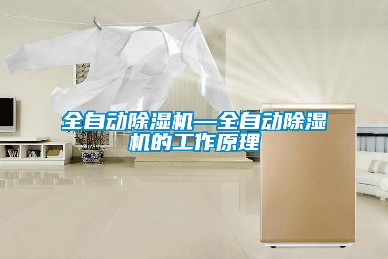 全自動(dòng)除濕機—全自動(dòng)除濕機的工作原理