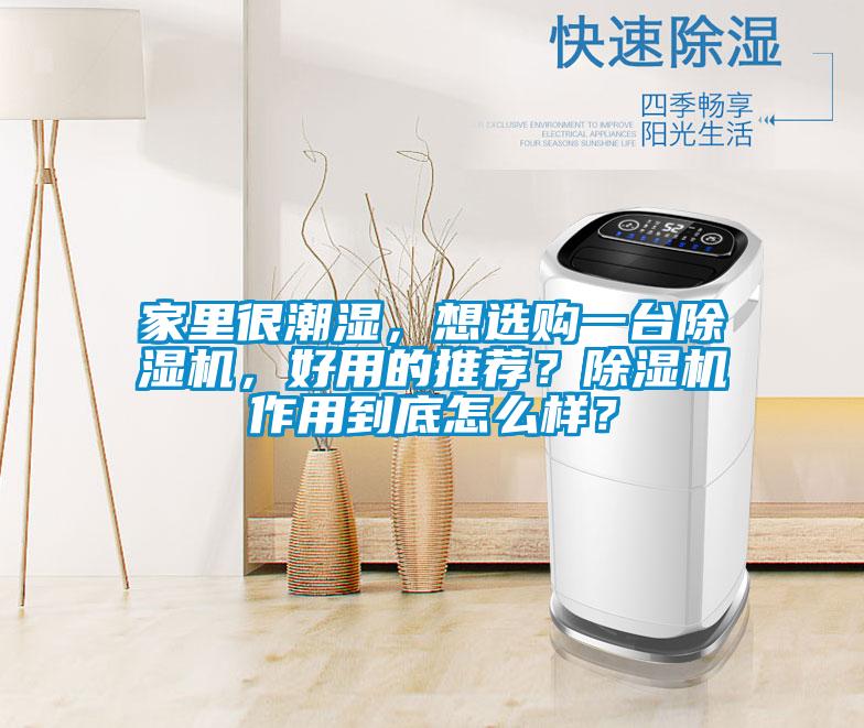 家里很潮濕，想選購一臺除濕機，好用的推薦？除濕機作用到底怎么樣？