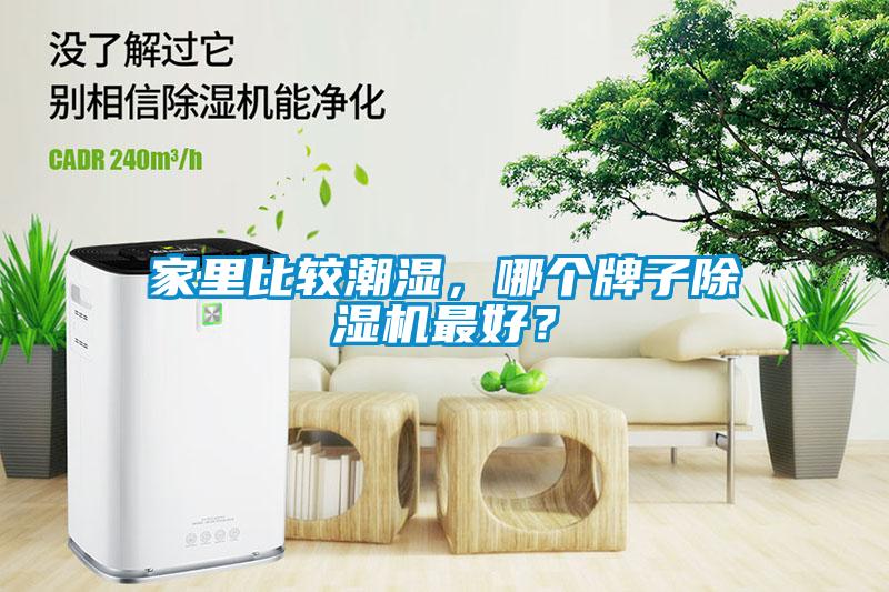 家里比較潮濕，哪個(gè)牌子除濕機最好？