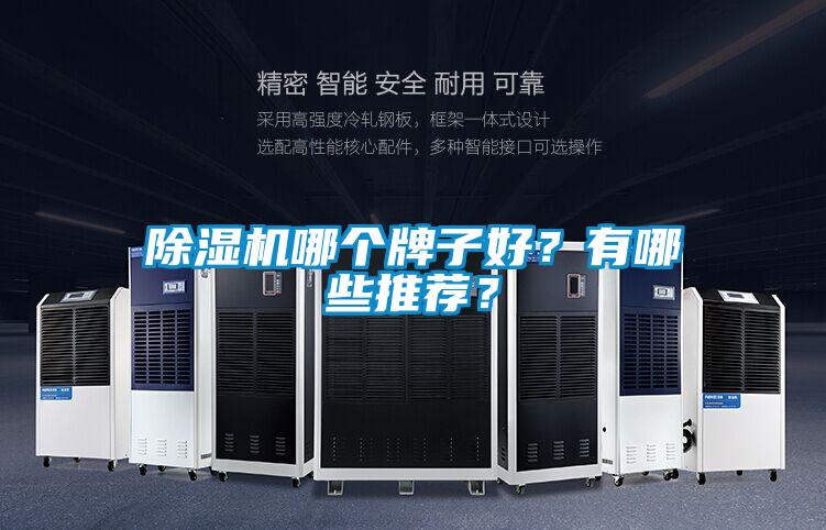 除濕機哪個(gè)牌子好？有哪些推薦？
