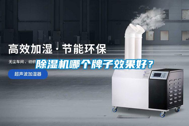 除濕機哪個(gè)牌子效果好？