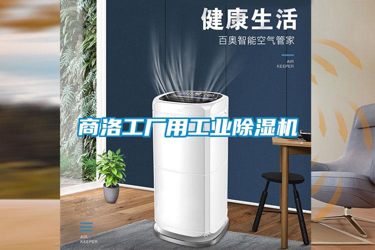 商洛工廠(chǎng)用工業(yè)除濕機