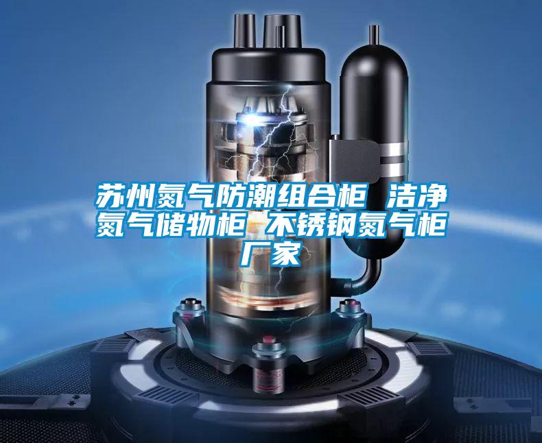 蘇州氮氣防潮組合柜 潔凈氮氣儲物柜 不銹鋼氮氣柜廠(chǎng)家
