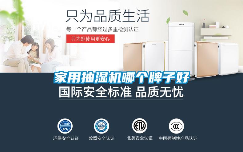 家用抽濕機哪個(gè)牌子好