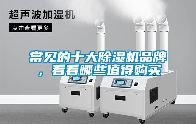 常見(jiàn)的十大除濕機品牌，看看哪些值得購買(mǎi)