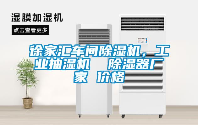 徐家匯車(chē)間除濕機，工業(yè)抽濕機  除濕器廠(chǎng)家 價(jià)格