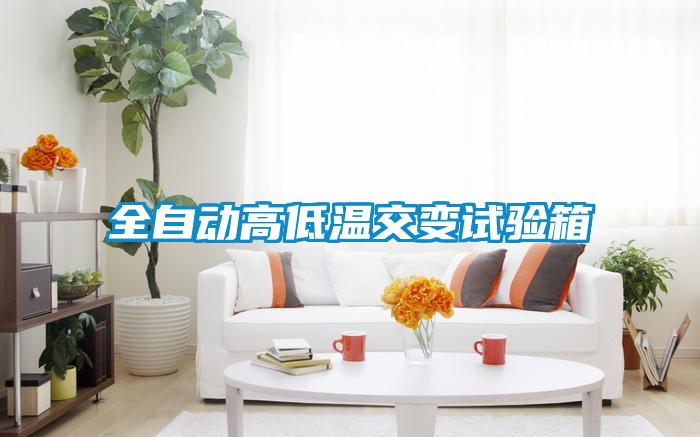 全自動(dòng)高低溫交變試驗箱