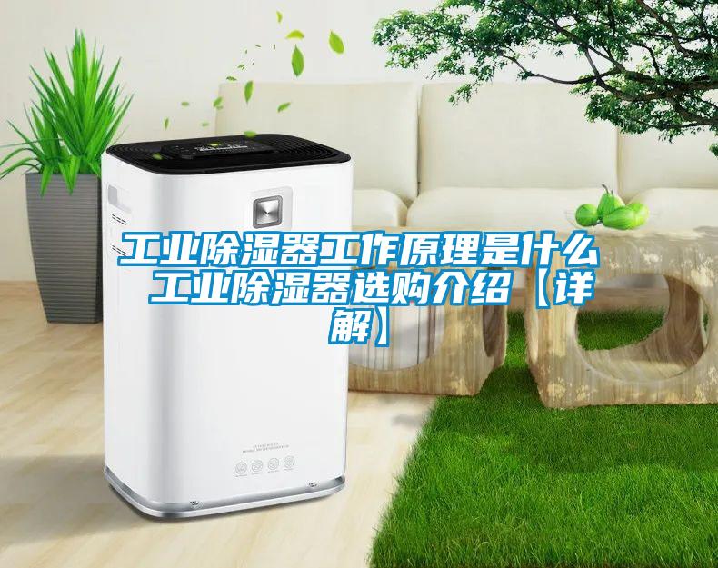 工業除濕器工作原理是什么 工業除濕器選購介紹【詳解】