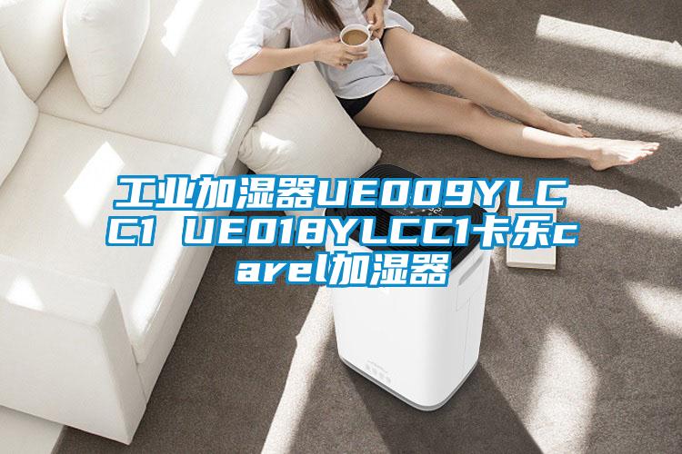 工業(yè)加濕器UE009YLCC1 UE018YLCC1卡樂(lè )carel加濕器