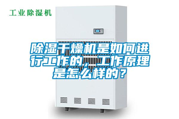 除濕干燥機是如何進(jìn)行工作的，工作原理是怎么樣的？