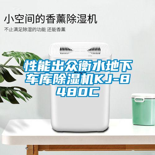 性能出眾衡水地下車(chē)庫除濕機KJ-8480C