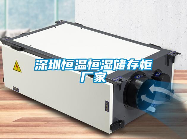 深圳恒溫恒濕儲存柜廠(chǎng)家