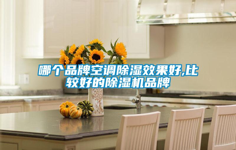 哪個(gè)品牌空調除濕效果好,比較好的除濕機品牌