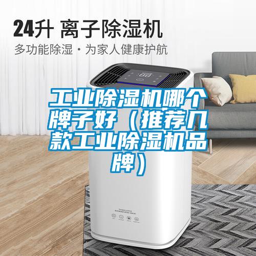 工業(yè)除濕機哪個(gè)牌子好（推薦幾款工業(yè)除濕機品牌）