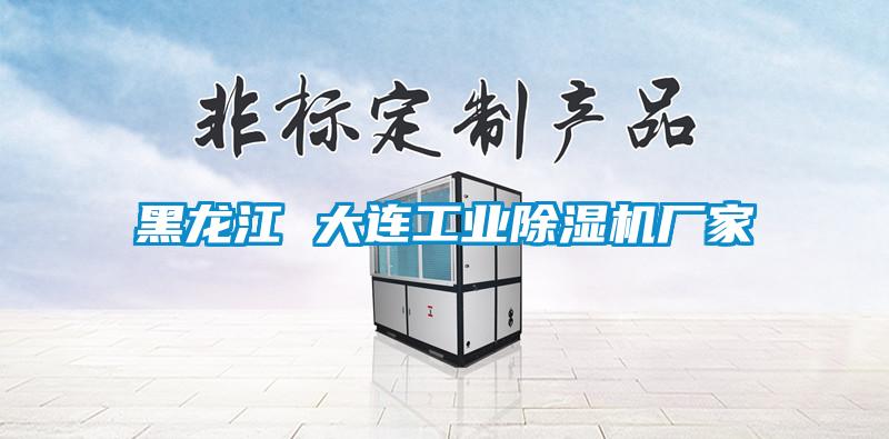 黑龍江 大連工業(yè)除濕機廠(chǎng)家