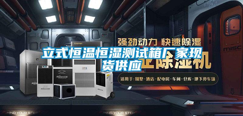 立式恒溫恒濕測試箱廠(chǎng)家現貨供應