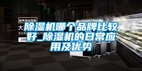 除濕機哪個(gè)品牌比較好_除濕機的日常應用及優(yōu)勢