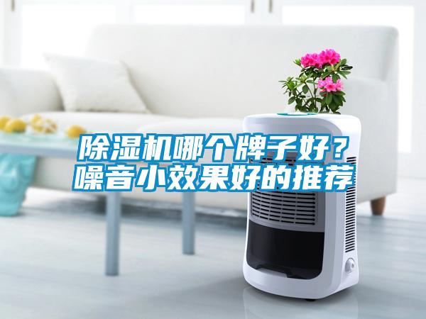 除濕機哪個(gè)牌子好？噪音小效果好的推薦
