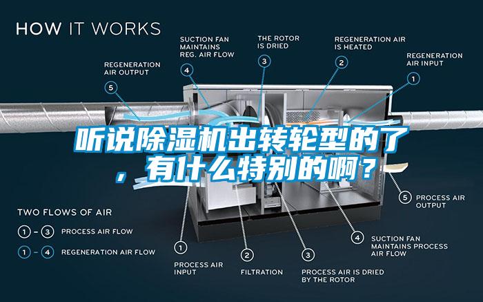 聽(tīng)說(shuō)除濕機出轉輪型的了，有什么特別的??？