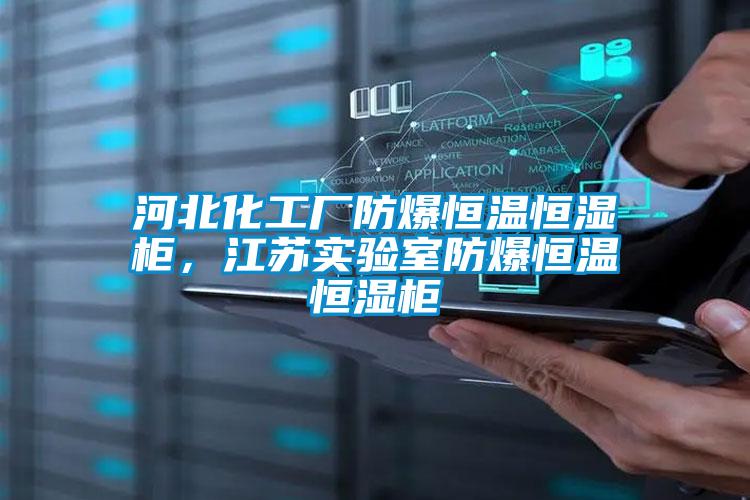 河北化工廠(chǎng)防爆恒溫恒濕柜，江蘇實(shí)驗室防爆恒溫恒濕柜