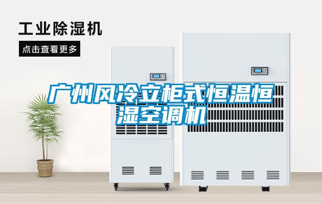 廣州風冷立柜式恒溫恒濕空調機