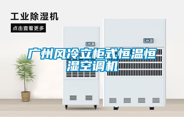 廣州風(fēng)冷立柜式恒溫恒濕空調機