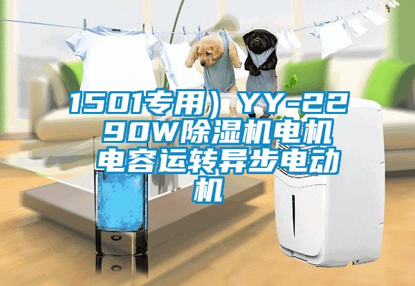 1501專(zhuān)用）YY-22  90W除濕機電機  電容運轉異步電動(dòng)機